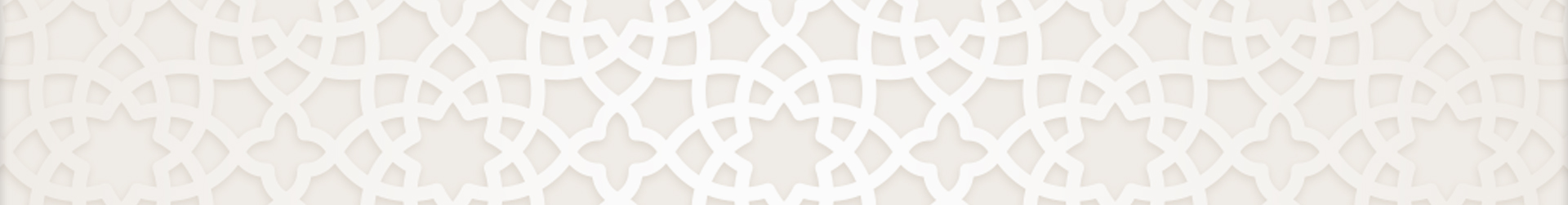 لجنة متابعة إعداد الخطة التشغيلية للمخطط لجنة متابعة إعداد الخطة التشغيلية للمخطط